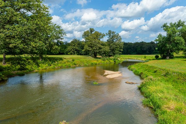 Exploring the Mediterranean Diet: Can It Help Prevent Age-Related Hearing Loss?