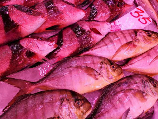 How to Use Progressive Muscle Relaxation to Combat Insomnia?